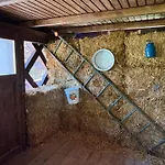 アパート Pod Orehi - - Apartma & Glamping & Savna ブレッド