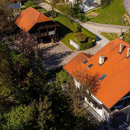 Pod Orehi - - Apartma & Glamping & Savna Apartmán