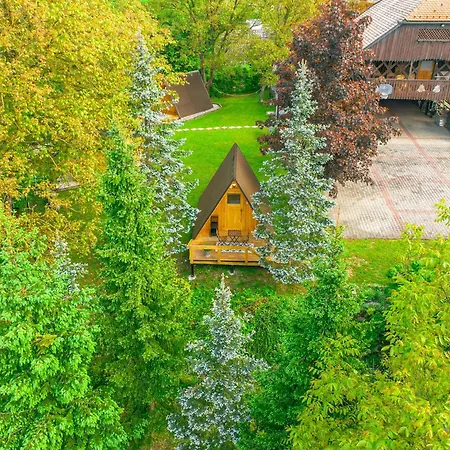 Pod Orehi - - Apartma & Glamping & Savna Bled