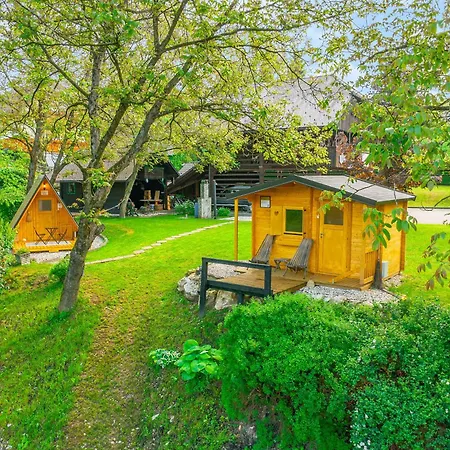 Pod Orehi - - Apartma & Glamping & Savna شقة