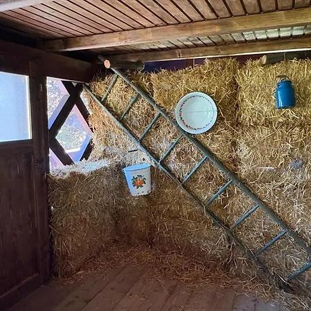Appartement Pod Orehi - - Apartma & Glamping & Savna Bled